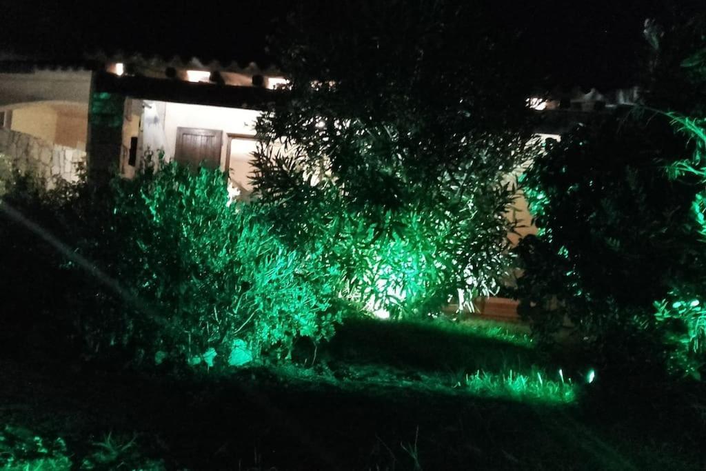 Villetta Reparata 圣特雷莎加卢拉 外观 照片